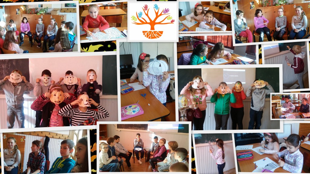 Franciza FLC - cursuri de engleză