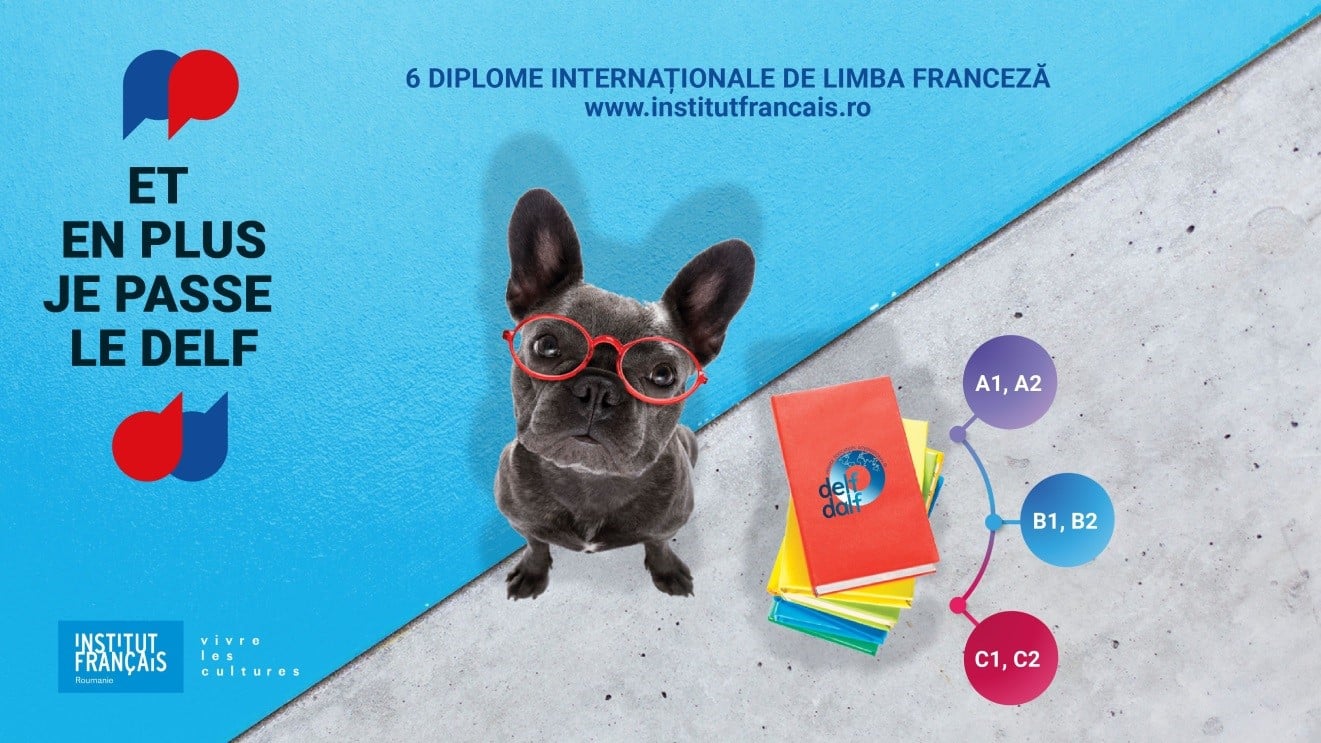 Alianța Franceză  Pitesti - cursuri de engleză